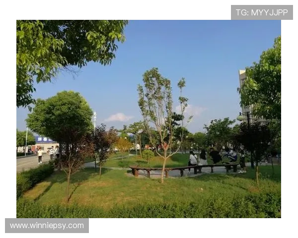 绯闻少女第二季揭开名利权欲交织的青春上流社会秘辛与纷争漩涡